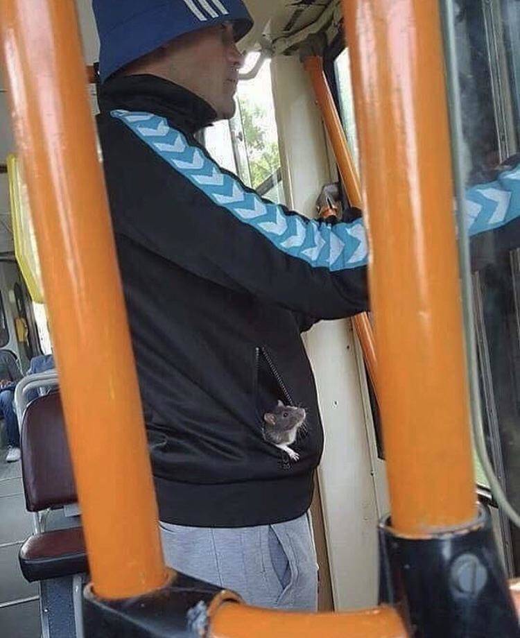 Daily Pictures. Part 1 (74 pics)