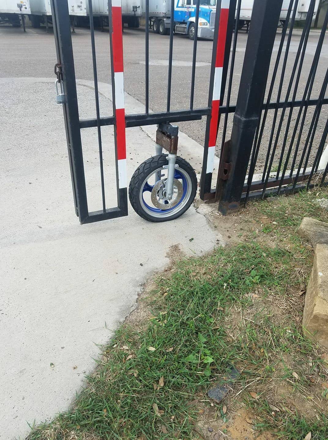 Daily Pictures. Part 1 (74 pics)