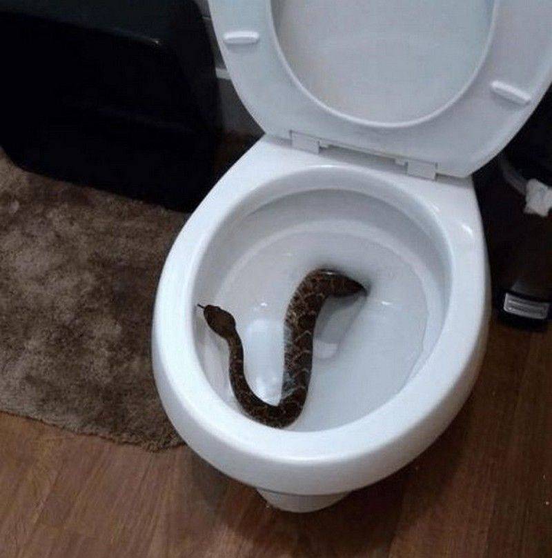 Daily Pictures. Part 1 (74 pics)