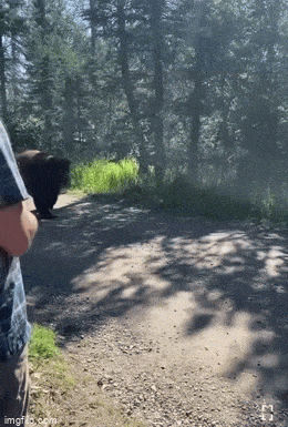 Acid GIFs, April 30 (25 gifs)