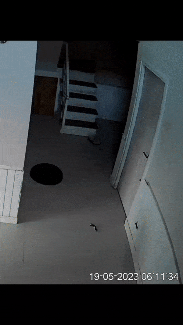 Acid GIFs, April 30 (25 gifs)