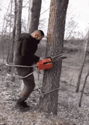 Acid GIFs, April 30 (25 gifs)
