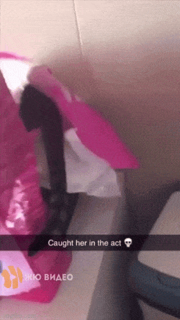 Acid GIFs, April 30 (25 gifs)