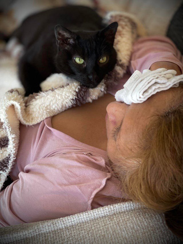 Funny Black Cats (16 pics) Funny Black Cats (16 pics)