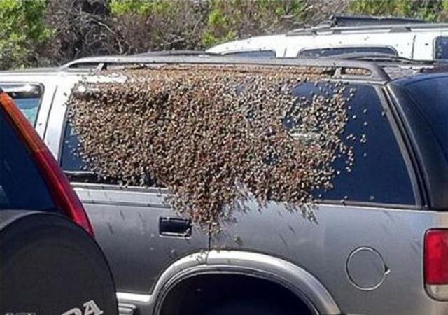 Unfortunate Situations (23 pics) Unfortunate Situations (23 pics)