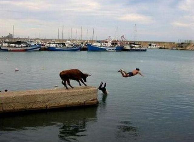Unfortunate Situations (23 pics) Unfortunate Situations (23 pics)
