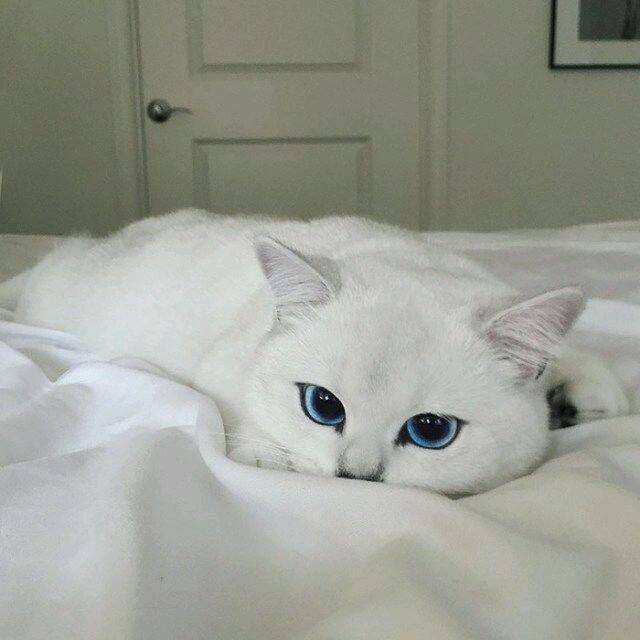 Daily Pictures. Part 1 (71 pics)