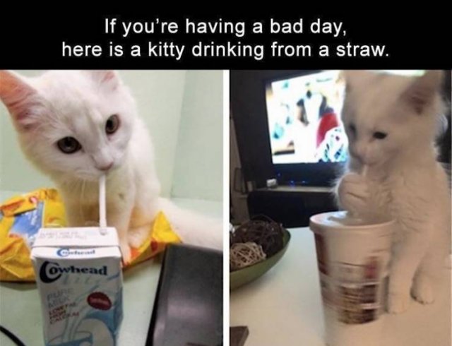 Daily Pictures. Part 2 (70 pics)