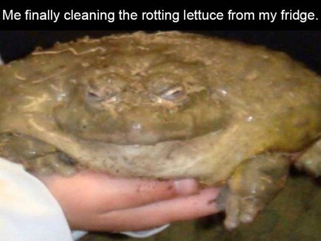 Daily Pictures. Part 2 (70 pics)