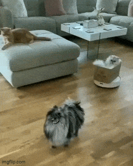 Acid GIFs, May 1 (25 gifs) Acid GIFs, May 1 (25 gifs)