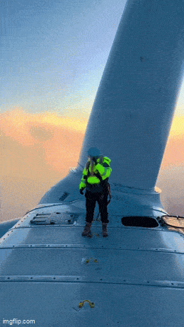 Acid GIFs, May 1 (25 gifs) Acid GIFs, May 1 (25 gifs)