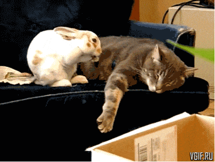 Acid GIFs, May 1 (25 gifs) Acid GIFs, May 1 (25 gifs)