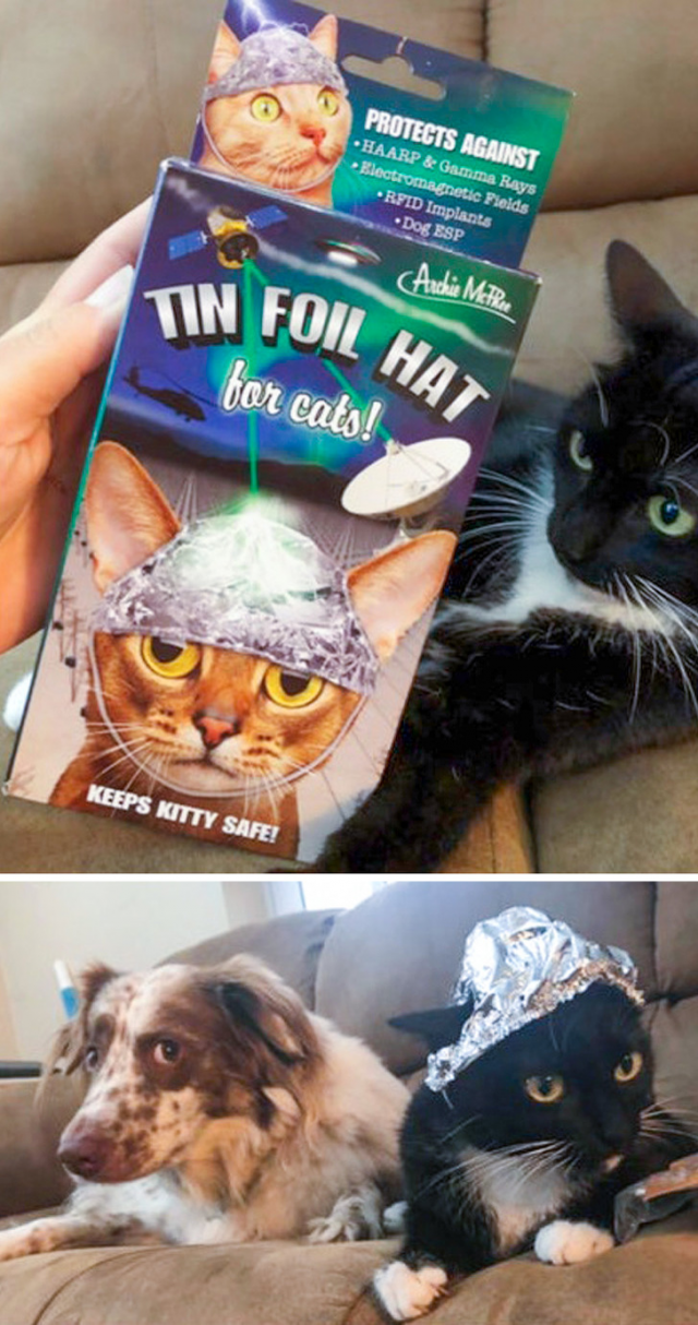 Weird Finds In Thrift Shops (19 pics) Weird Finds In Thrift Shops (19 pics)