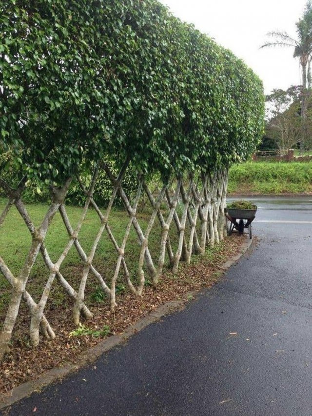 Photos For Perfectionists (25 pics) Photos For Perfectionists (25 pics)