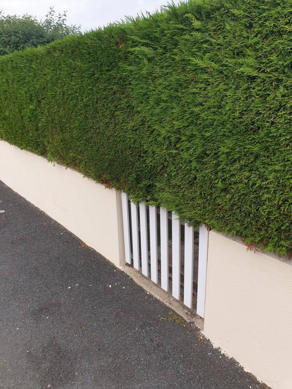 Failed Designs And Constructions (29 pics)