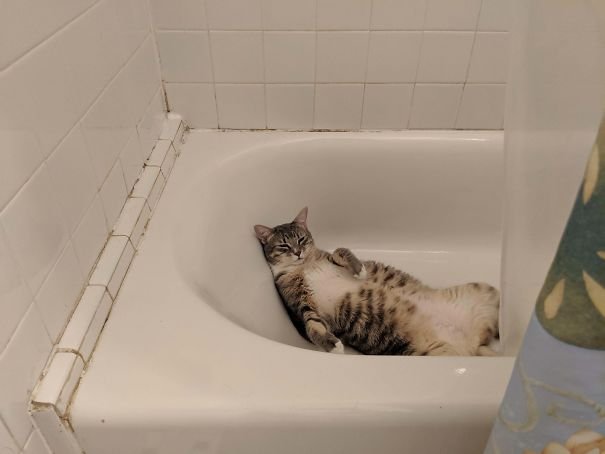 They Can Sleep Anywhere (25 pics)