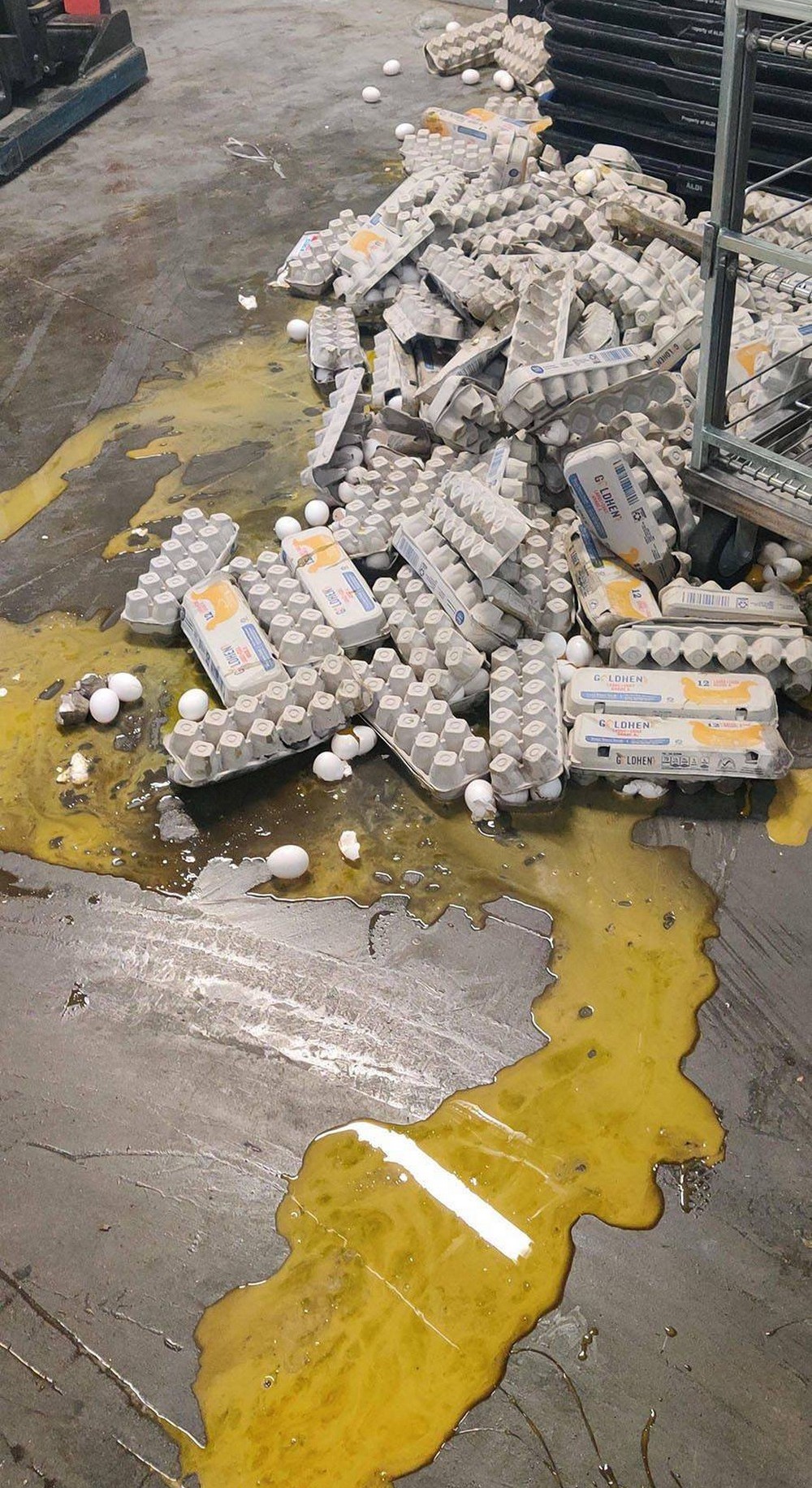 Bad Days Happen (31 pics)