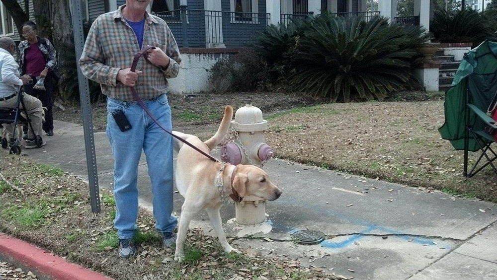 Bad Days Happen (31 pics)