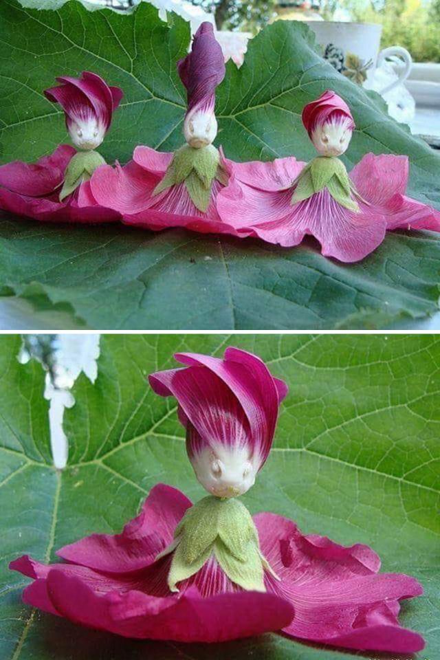 This Is Pareidolia (25 pics) This Is Pareidolia (25 pics)