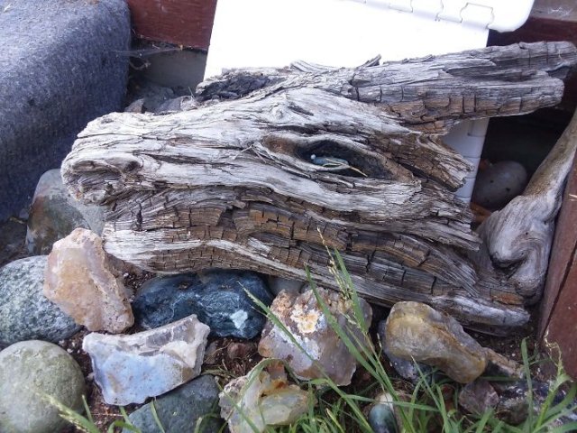 This Is Pareidolia (25 pics) This Is Pareidolia (25 pics)