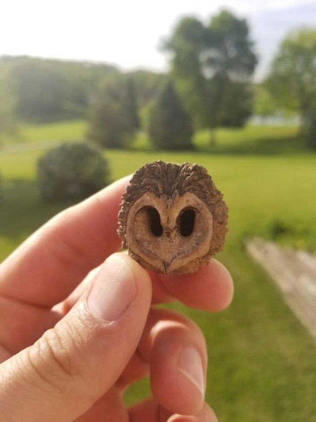This Is Pareidolia (25 pics) This Is Pareidolia (25 pics)