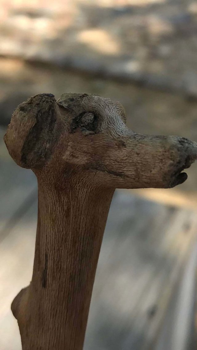 This Is Pareidolia (25 pics) This Is Pareidolia (25 pics)