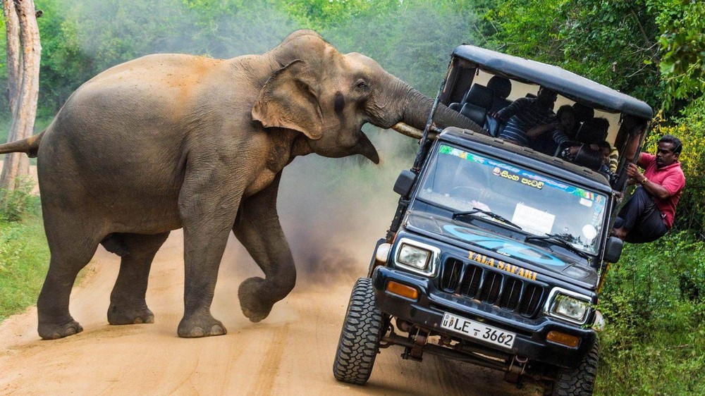 Unfortunate Situations (25 pics) Unfortunate Situations (25 pics)