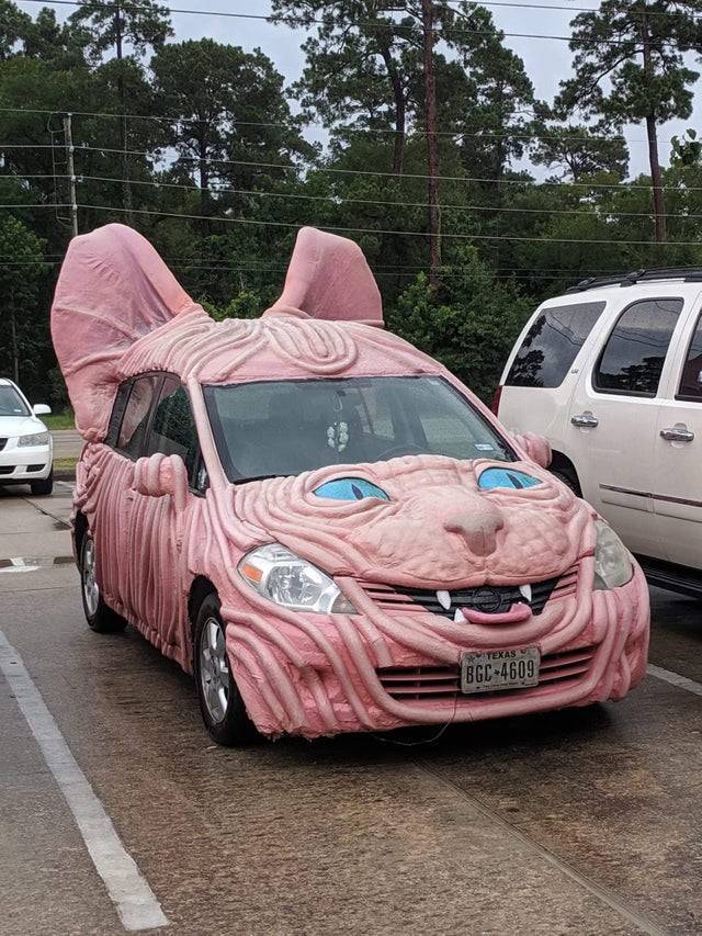 Daily Pictures. Part 1 (71 pics)