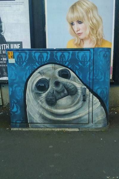 Daily Pictures. Part 1 (71 pics)