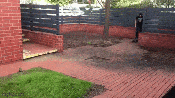Acid GIFs, May 4 (25 gifs)