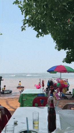 Acid GIFs, May 4 (25 gifs)