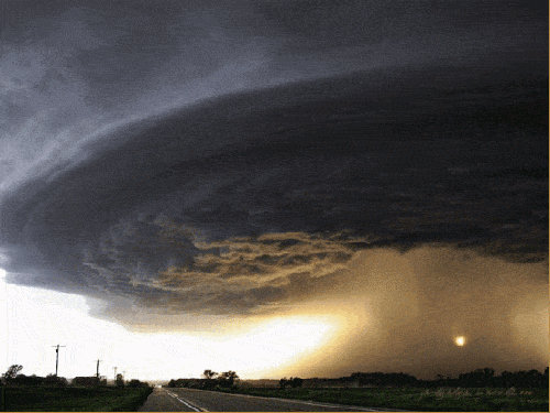 Acid GIFs, May 4 (25 gifs)