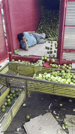 Acid GIFs, May 4 (25 gifs)