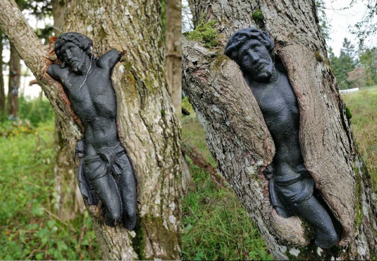 Time Changes Everything (29 pics) Time Changes Everything (29 pics)