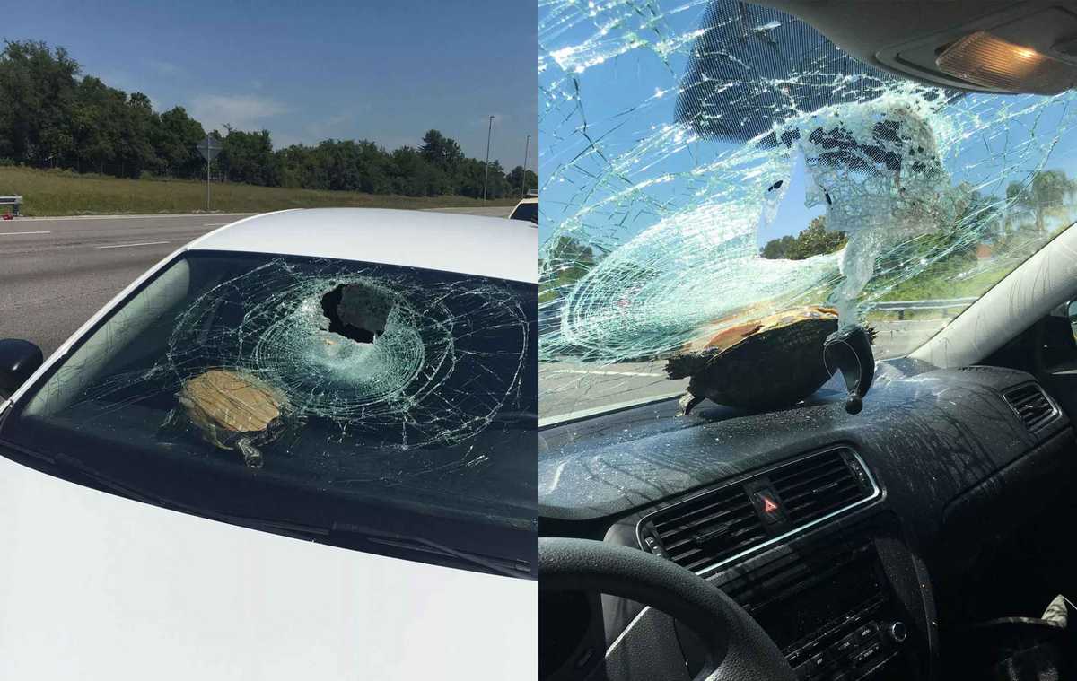 Bad Days Happen (29 pics) Bad Days Happen (29 pics)