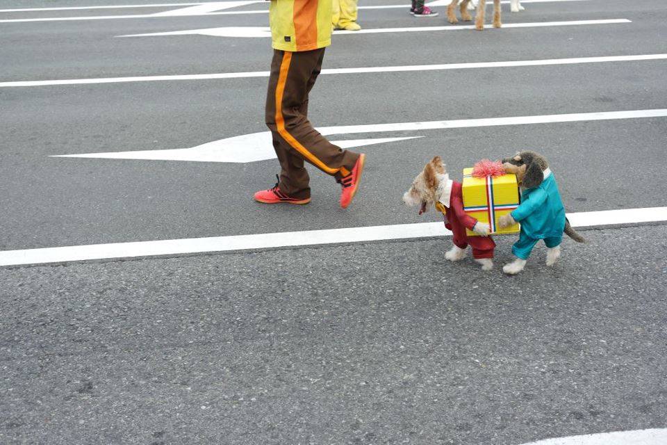 Daily Pictures. Part 1 (78 pics)