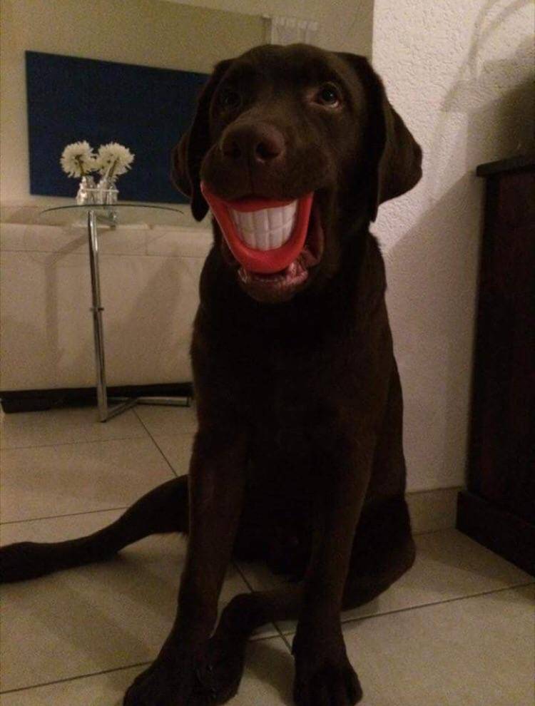 Daily Pictures. Part 2 (77 pics)