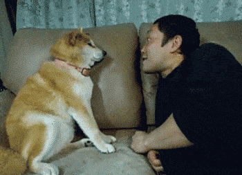 Acid GIFs, May 5 (25 gifs) Acid GIFs, May 5 (25 gifs)