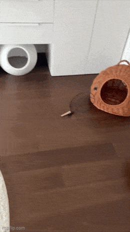 Acid GIFs, May 5 (25 gifs) Acid GIFs, May 5 (25 gifs)