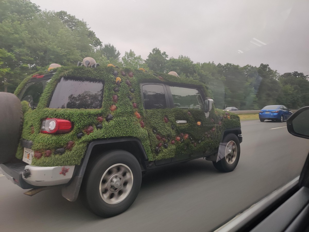 Crazy Tuning (25 pics)
