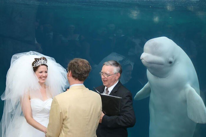 Funny Photobombs (25 pics) Funny Photobombs (25 pics)