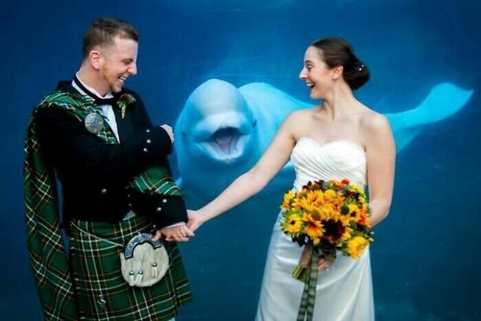Funny Photobombs (25 pics) Funny Photobombs (25 pics)