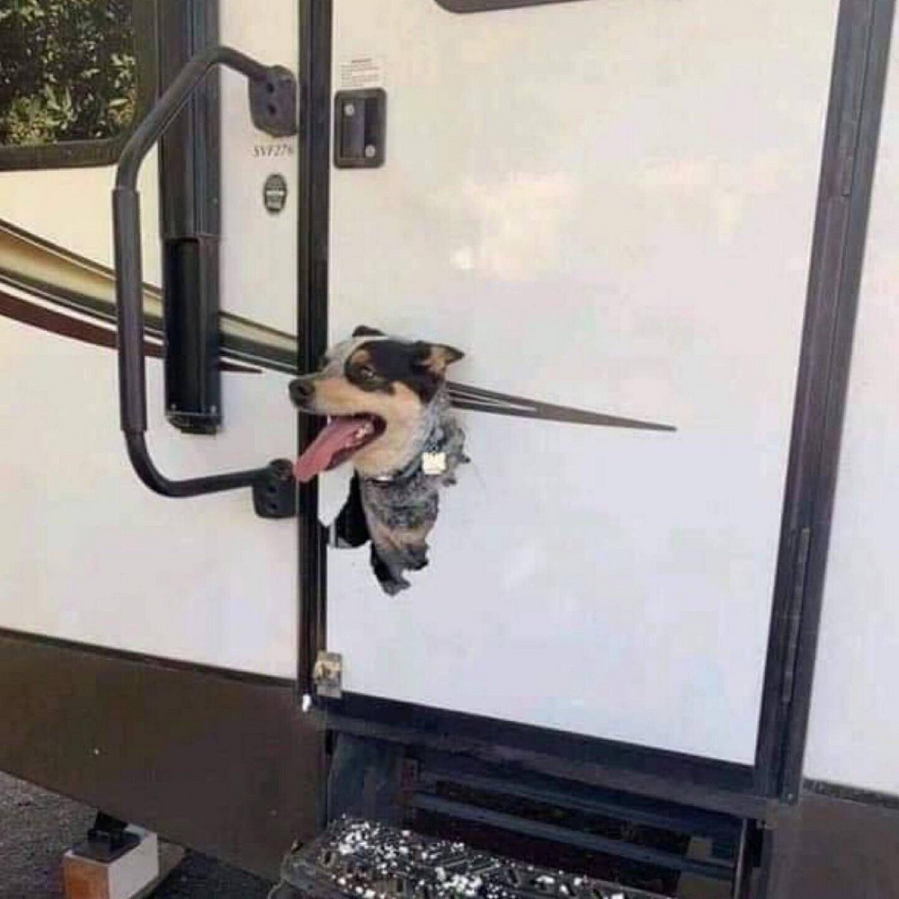 Unfortunate Situations (23 pics)