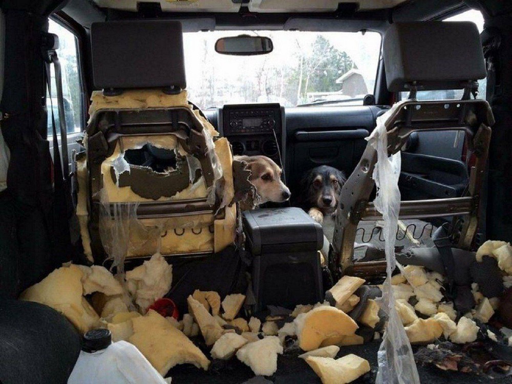 Unfortunate Situations (23 pics)