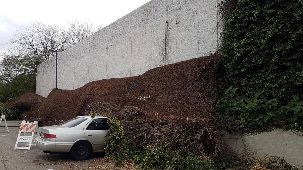Bad Days Happen (31 pics)