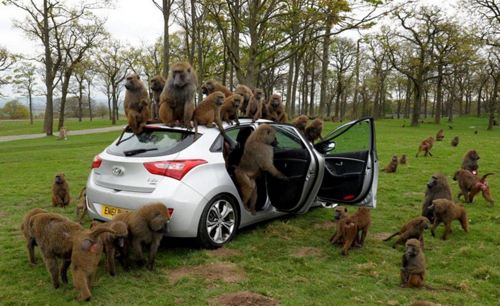 Bad Days Happen (31 pics)