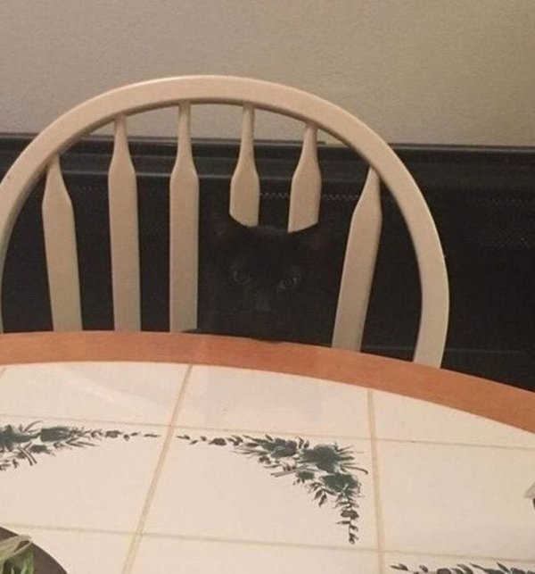 Optical Illusions (16 pics) Optical Illusions (16 pics)