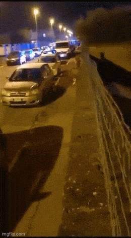 Acid GIFs, May 6 (25 gifs)