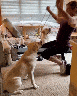 Acid GIFs, May 6 (25 gifs)