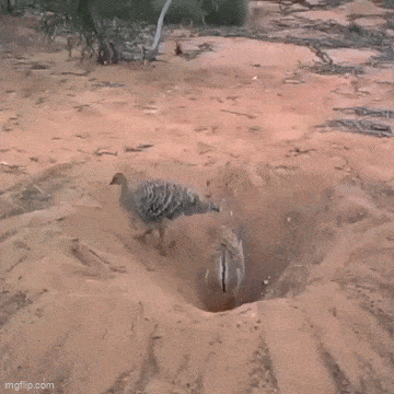 Acid GIFs, May 6 (25 gifs)
